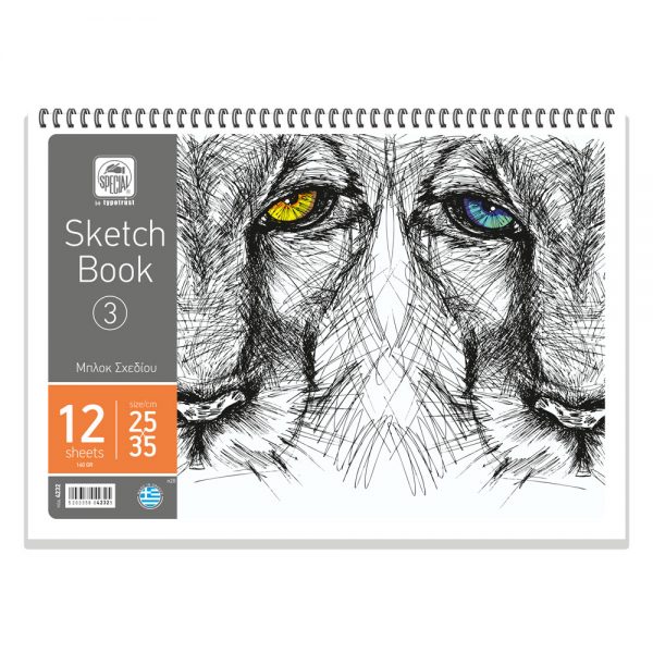 4232-mplok-sxediou-3